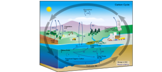 «Современные проблемы геологии»: «Глубинный и поверхностный цикл углерода»