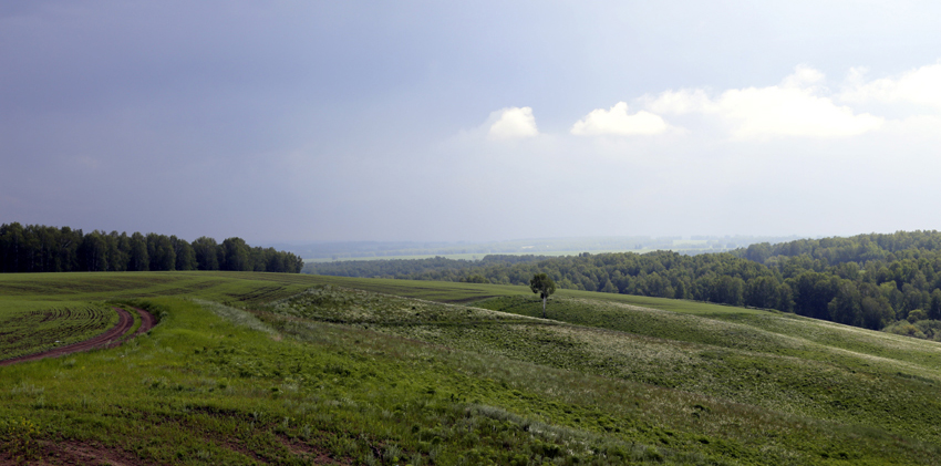 pic 4 черепаново