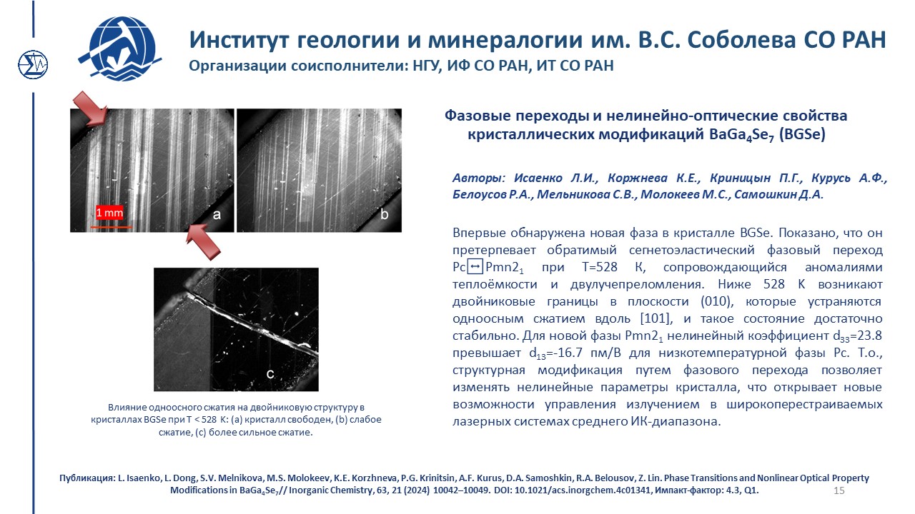 Достижения 447 1 2024