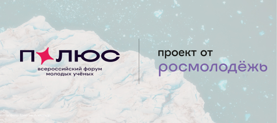 Полюс
