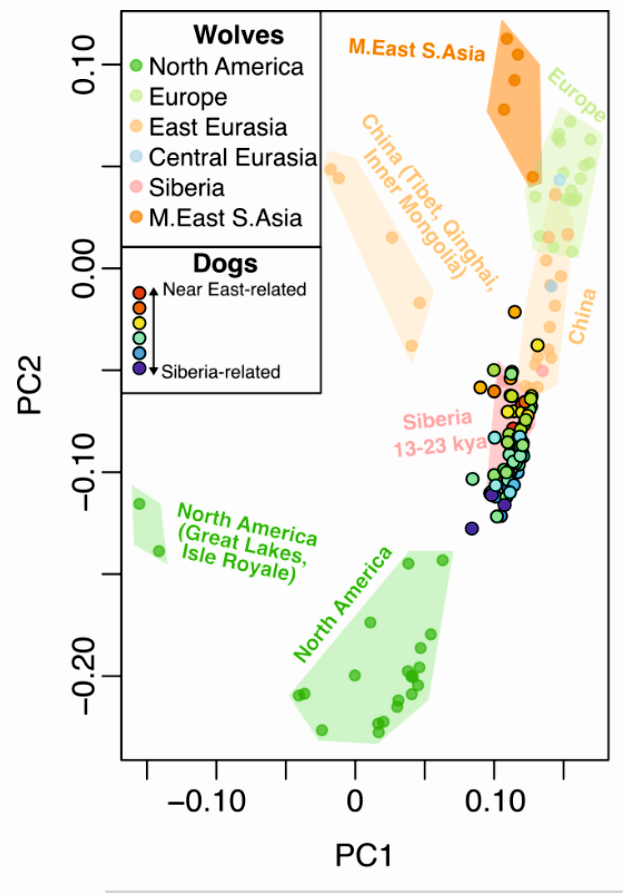 IGM 2022 DNA Ancient Wolves Figure 2