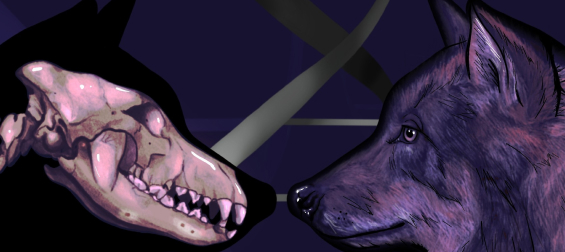 Как исследование ДНК древних волков Евразии помогает выяснить происхождение домашних собак