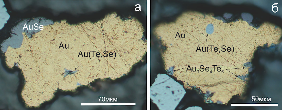 auroselenid2