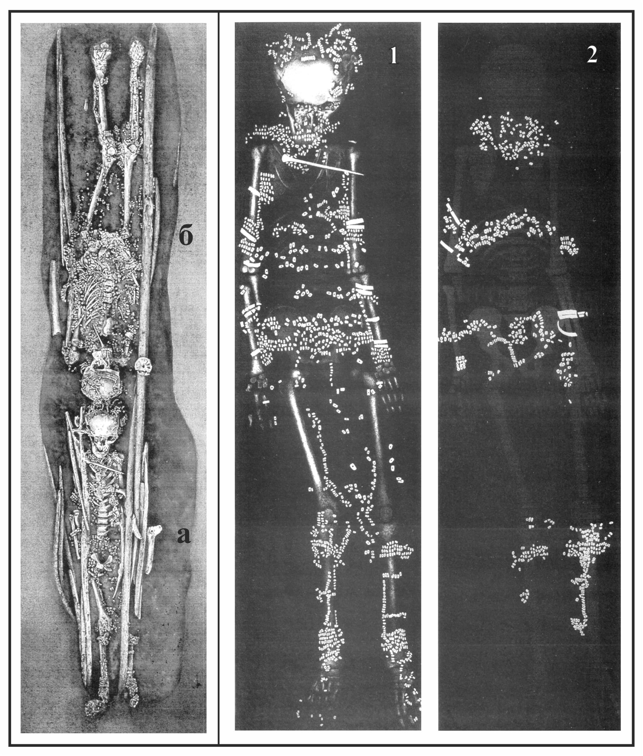 2 Kuzmin 2024 Figure 3