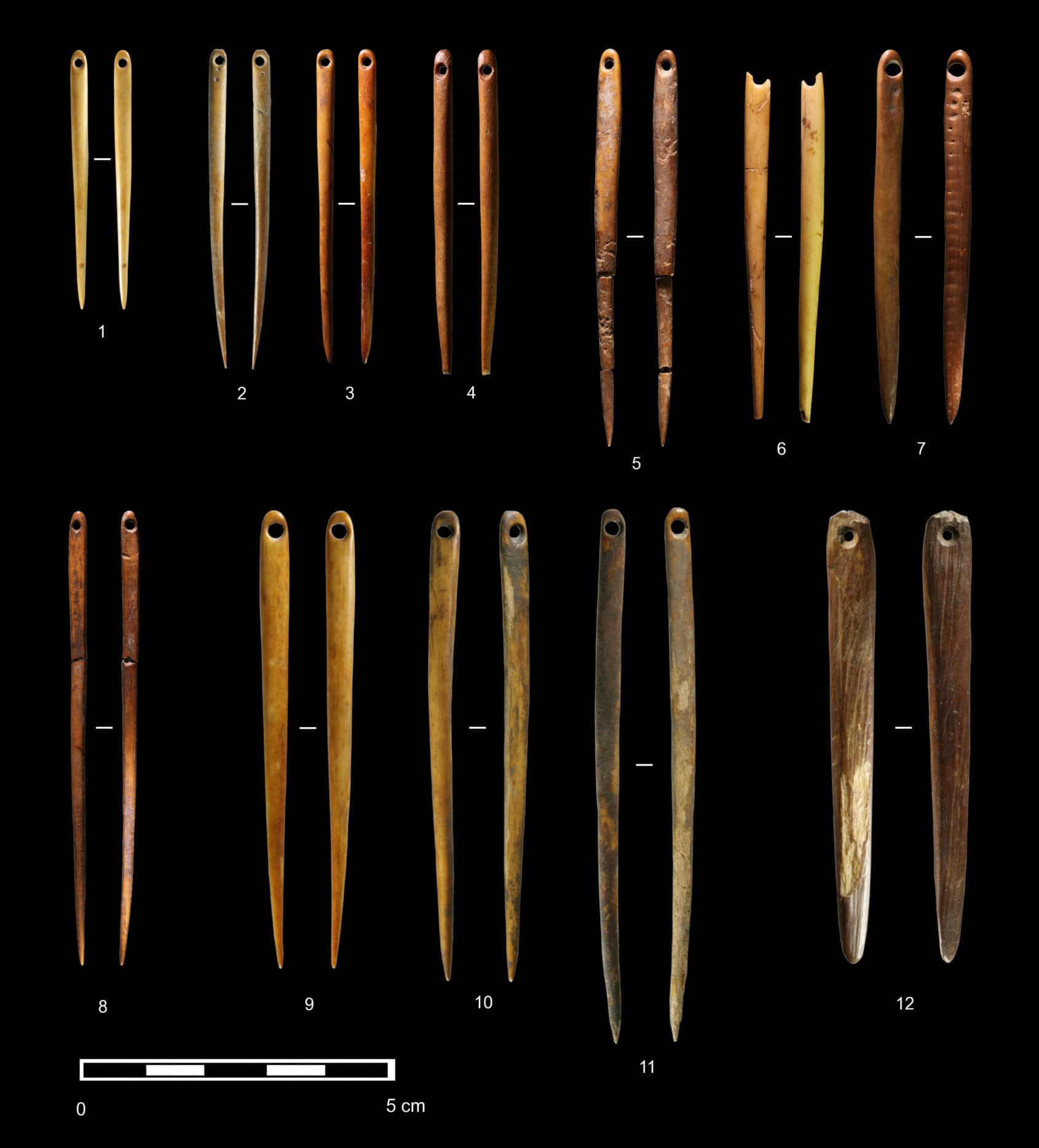 3 Kuzmin 2024 Figure 4