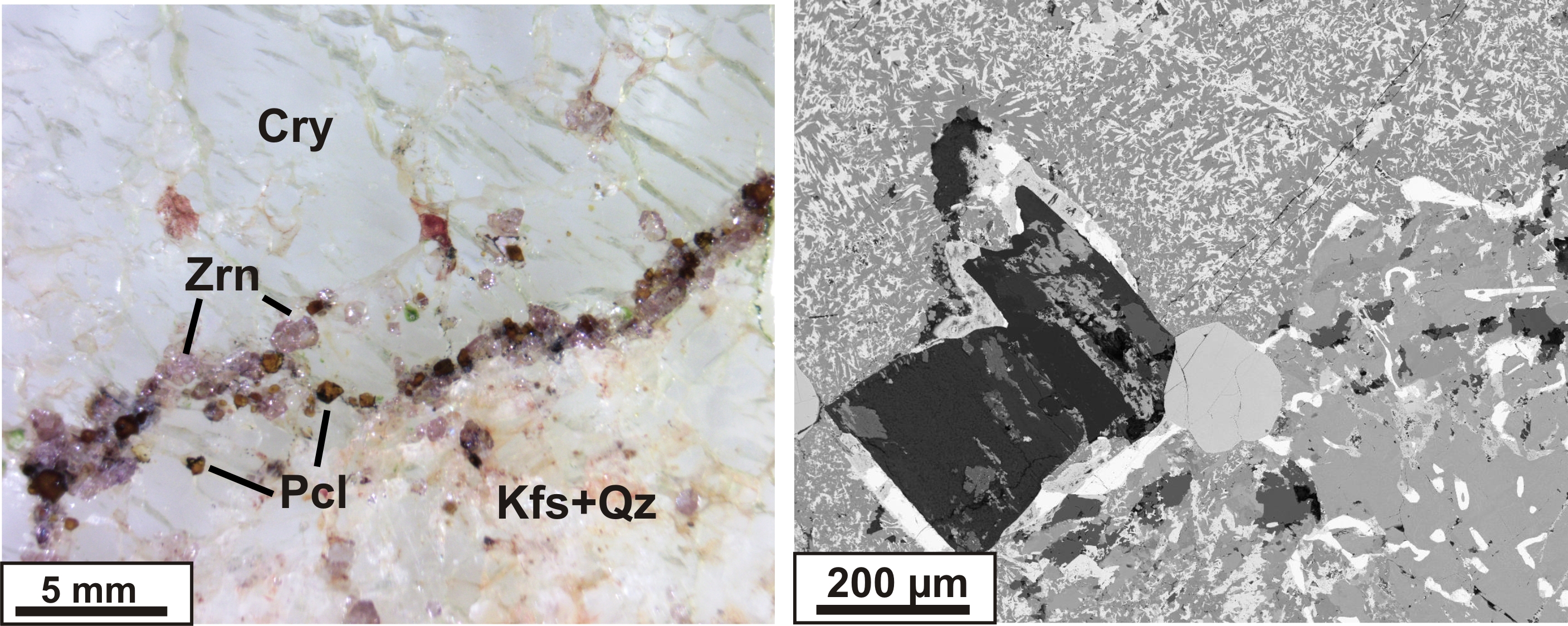 fig2 1