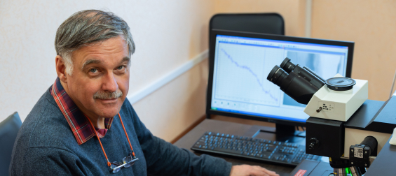 Российские ученые создали веб-приложение, способное расшифровывать состав микровключений в минералах