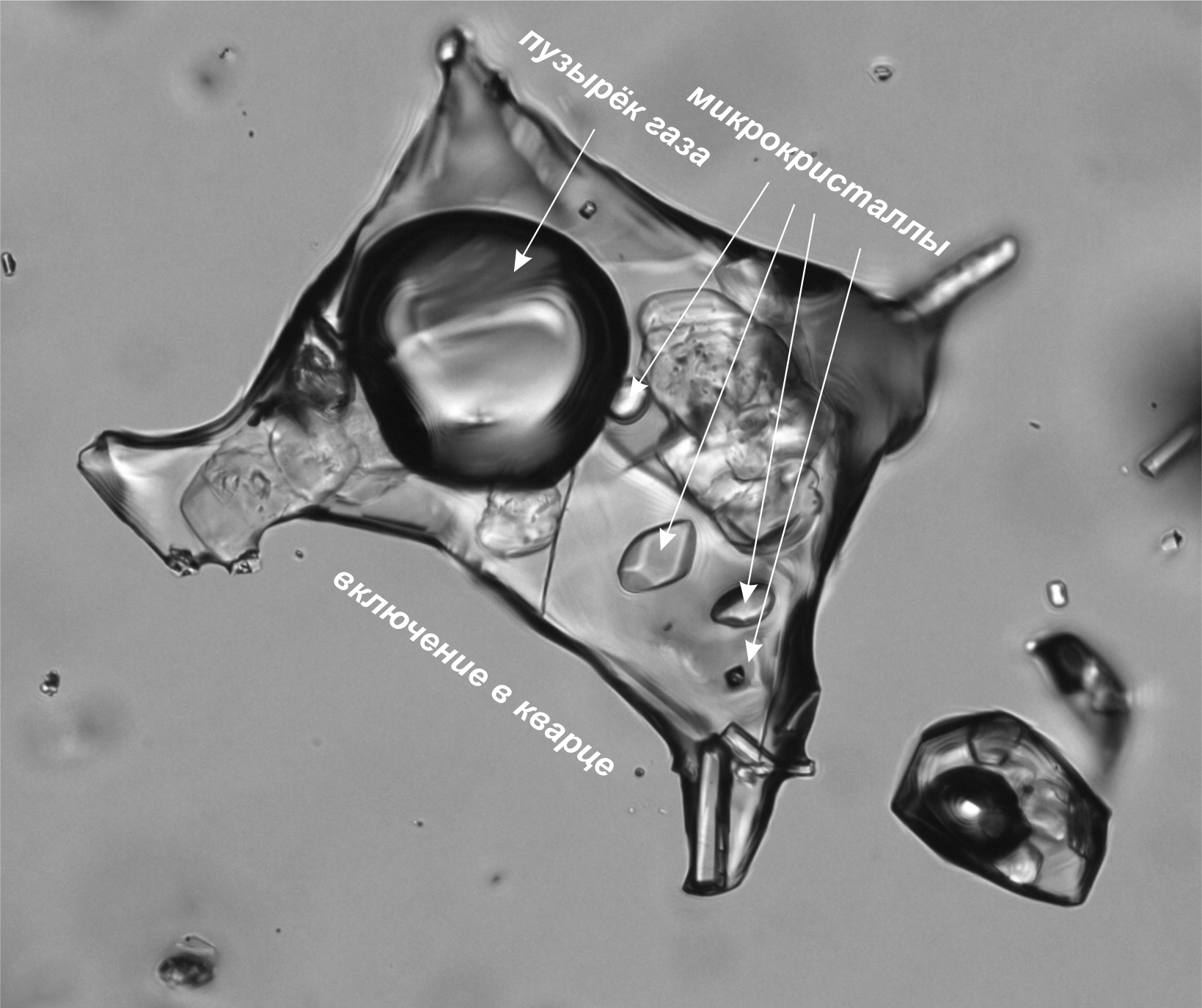 Рис 2 Флюидное включение в кристалле