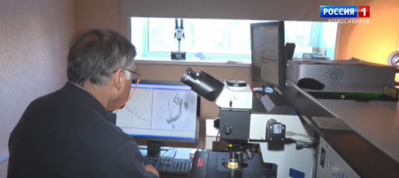 Вести-Новосибирск выпустили новостной сюжет о разработке российских ученых