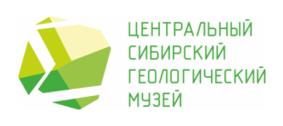 «Новогоднюю» экспозицию разместили сотрудники Центрального Сибирского геологического музея