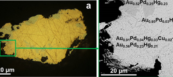 Состав палладистого золота нескольких рудопроявлений России изучили в лаборатории № 217 ИГМ СО РАН