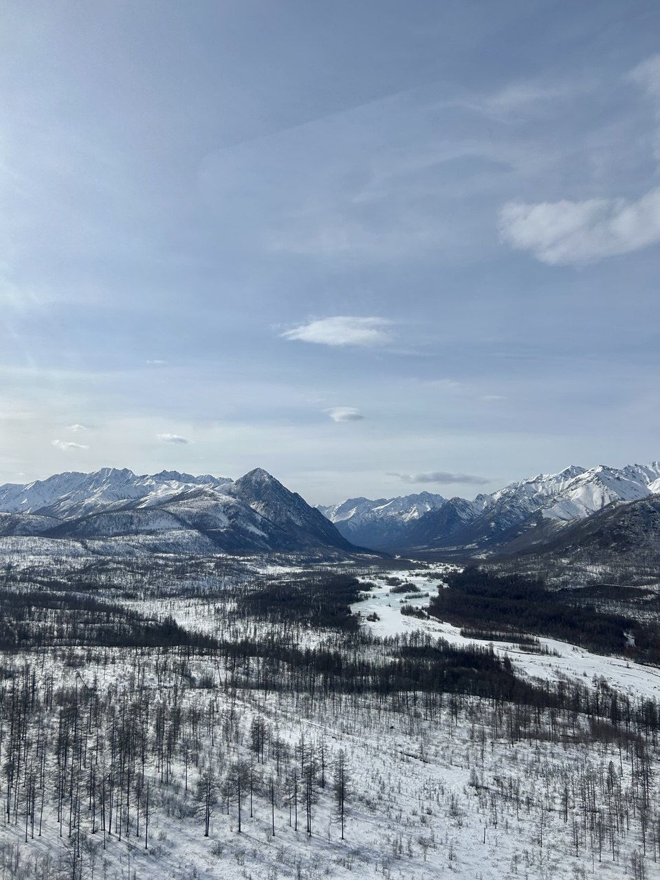 Новиков Чара