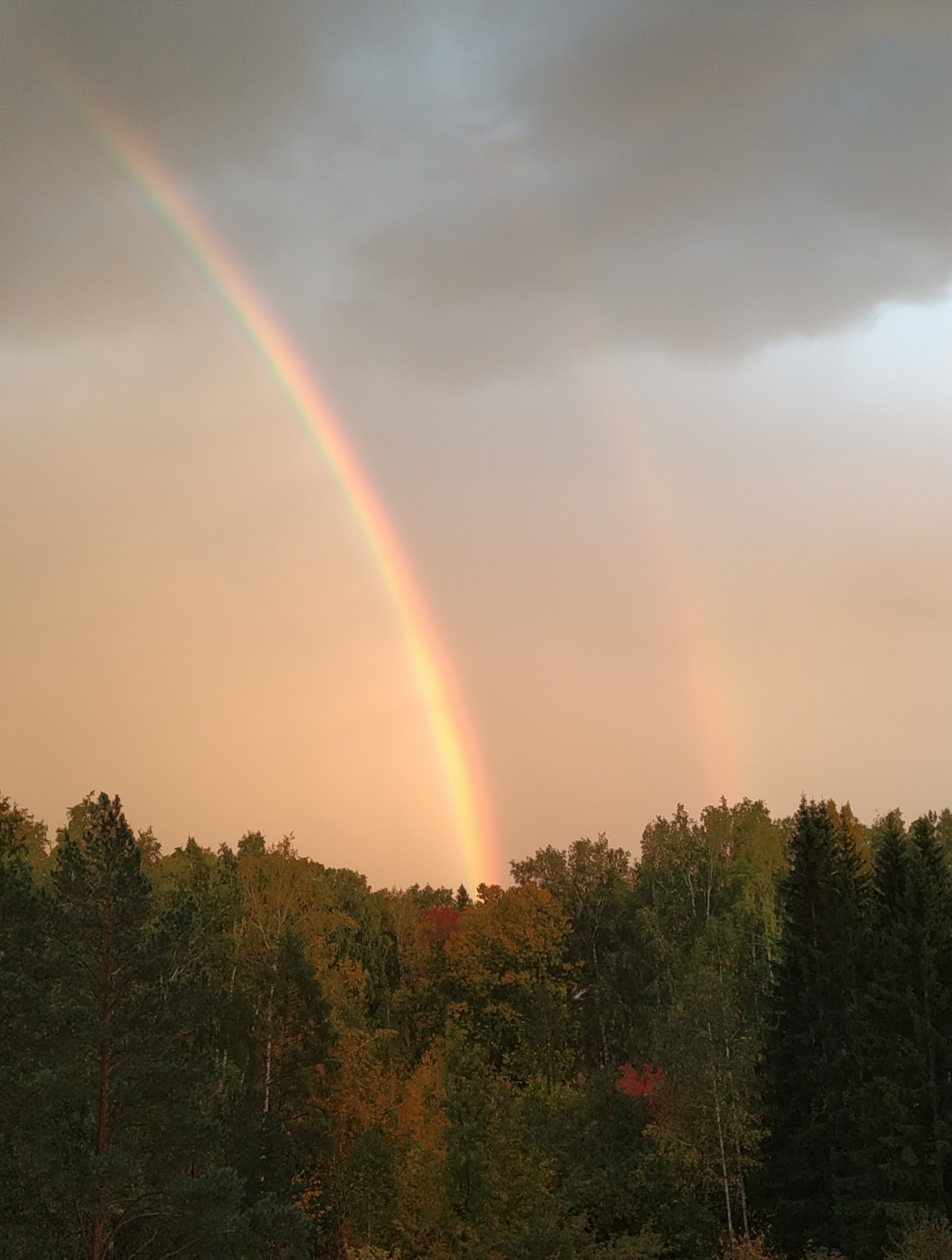 Пальянова фото 3б радуга