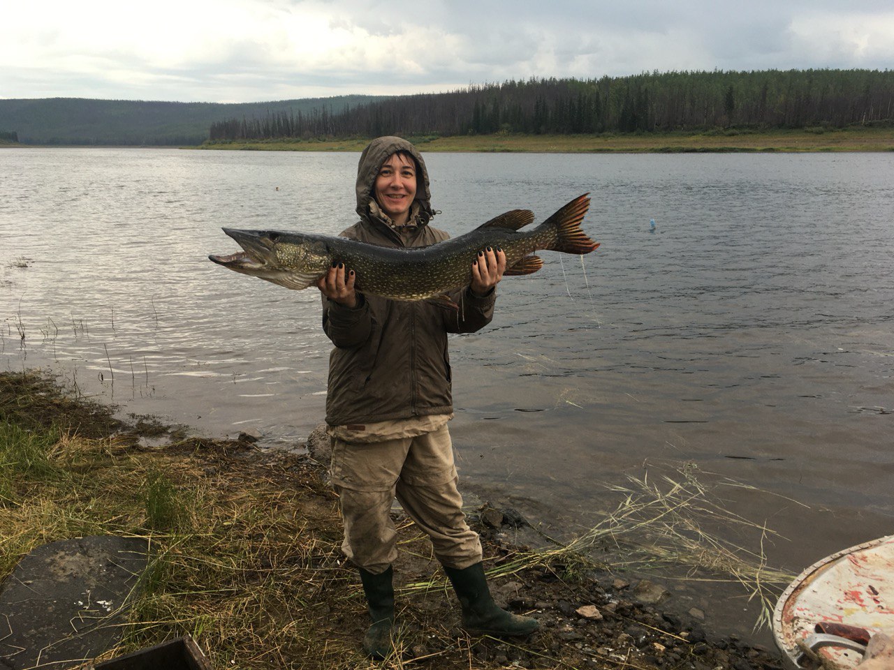 2 ДорошкевичАГ