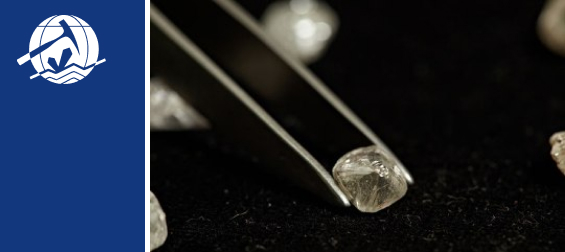 Российские ученые воспроизвели образование алмазов в недрах Земли