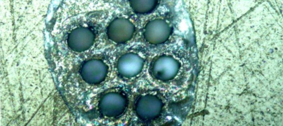 Возраст кимберлитовых трубок Мирнинского кимберлитового поля U-Pb  методом по рутилу и титаниту.