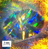 Secondary crystallization in the suspension with the limited volume, obtained by mechanic destruction of the initial fine-grained structure of the supramolecular crystals with complete crystallization of the volume followed by the formation of the larger elongated SC