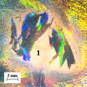 Partial crystallization of volume followed by the formation of elongated (feathered) crystals